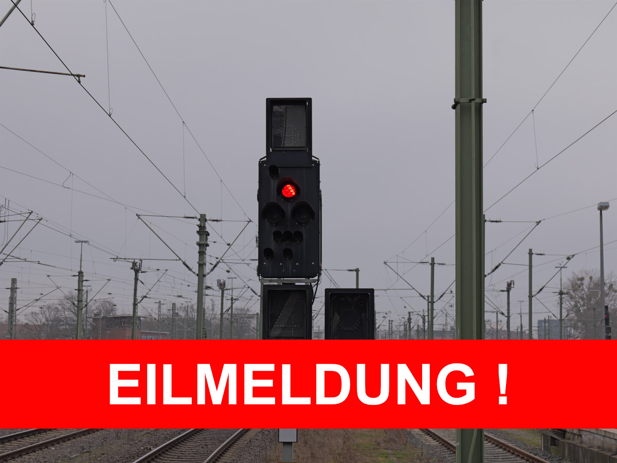 Flächendeckender Zugausfall