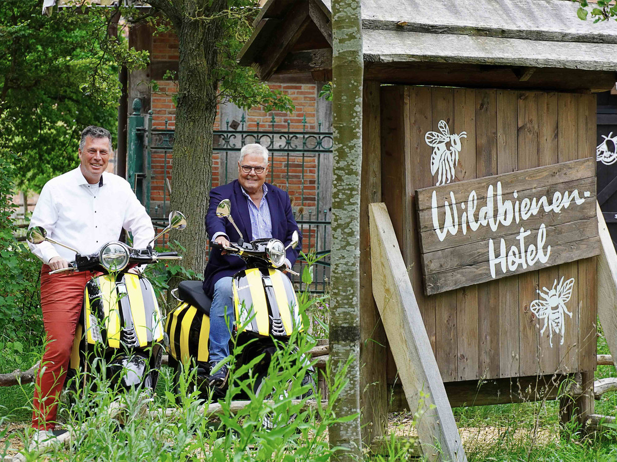 Bienen-Vespa in Hannover vorgestellt: Zoo und Vespennest setzen Zeichen Bienen-Vespa im Erlebnis-Zoo Hannover