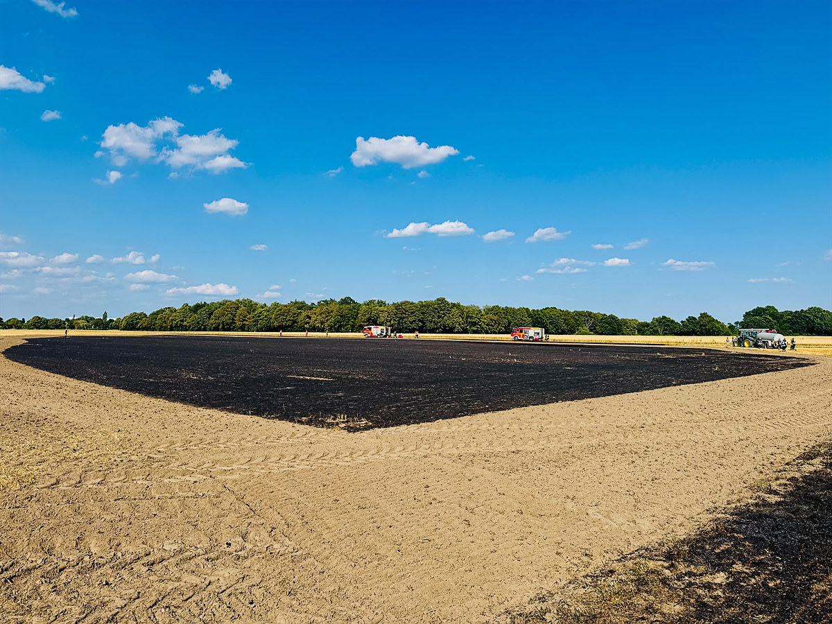 Flächenbrand bei Wunstorf: Feuerwehr schützt Weizenfelder – Flaechenbrand Wunstorf2 26 07 25