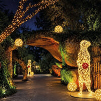 ZooLights